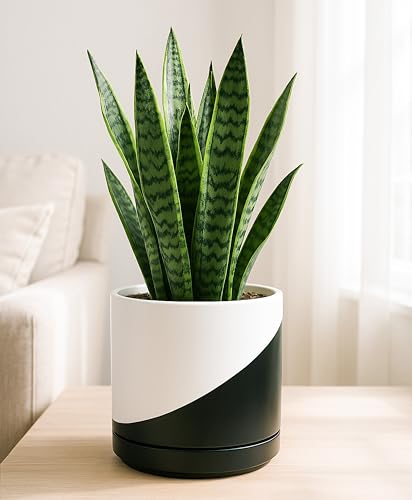 D'vine Dev 8.2 Inch Ceramic Planter Pot, Black White Diagonal, 94-O-D-K - color: Oblique Monochrome Black & White, size: Medium