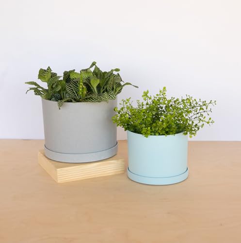 Bloem Mathers Planter w/Saucer Tray 6" Misty Blue - color: Misty Blue, size: 6"