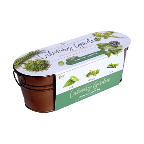 Buzzy Seeds Windowsill Herb Kit, Metal Planter, Basil Cilantro & Chives - color: Copper