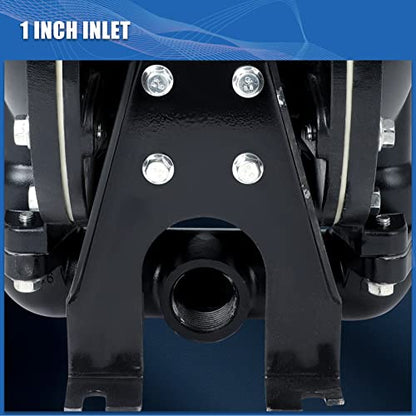 Dollate QBY4-25L Air Operated Double Diaphragm Pump, 1 inch Outlet