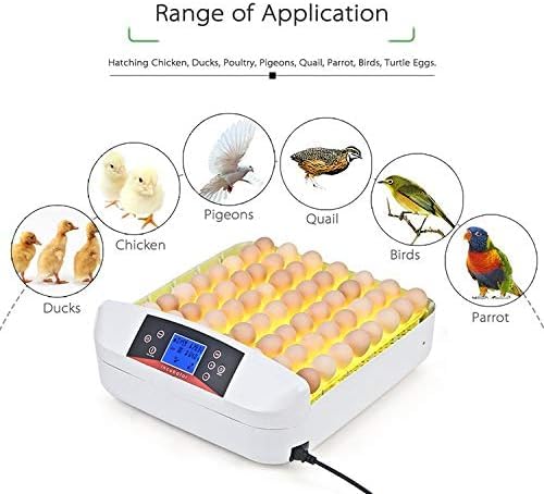 55 Egg Incubator with Auto Turner & Humidity Control 360° View - size: 55 Egg