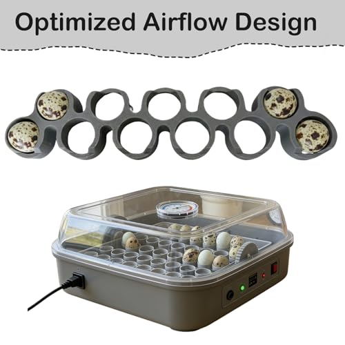 Custom Quail Egg Turner Tray Compatible with Maticoopx 20 Egg Incubator - color: M20