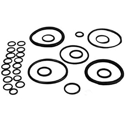 894906M91 Hydraulic Lift Pump Seal Kit Fits Massey Ferguson, Landini 35