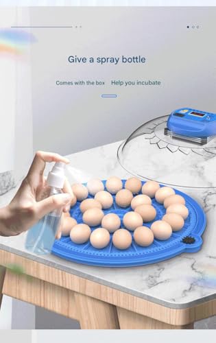 JUJOJB 12-Egg Incubator with Automatic Turner and Temperature Control - color: Blue