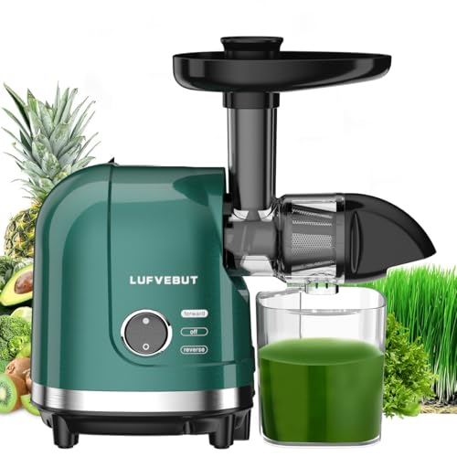 Cold Press Juicer Machine Slow Masticating Extractor for Celery Wheatgrass Spinach Ginger Cucumber Kale, 200W Motor, Easy Clean BPA-Free Dishwasher Safe, Fruit & Vegetable Juicers with Pulp Separation - color: Green