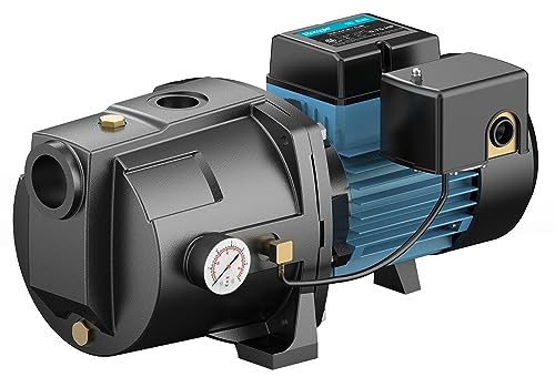 3/4HP Shallow Well Jet Pump, 115V/230V Durable Cast Iron Pump, Well Depth up to 25 ft, Automatic Pressure Switch, for Farm, Lawn, Garden - size: 3/4 HP Dual Voltage Well Pump