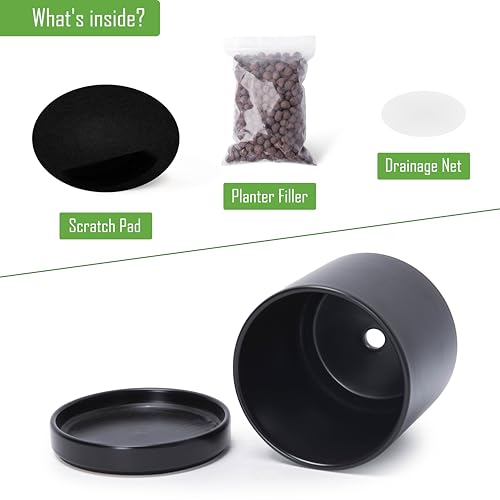 D'vine Dev 8.2 Inch Ceramic Planter Pot, Black, 94-O-D-2 - color: Black, size: Medium