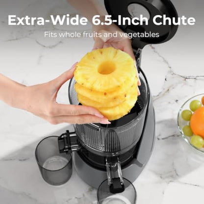 EanOruus Juicer Machines, 3-in-1 Cold Press Juicer, Premium Gray - color: Premium Gray