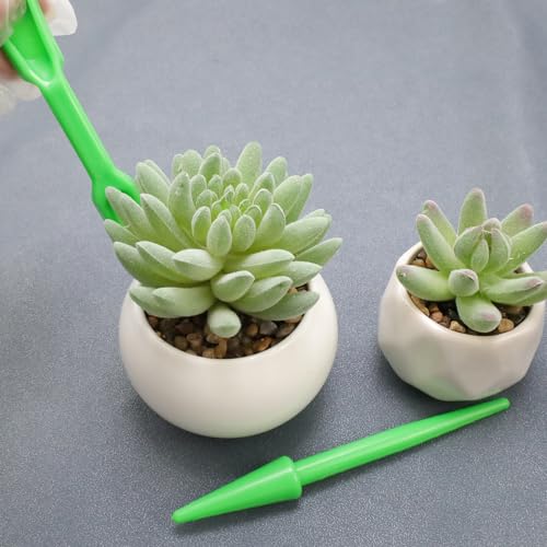Antrader Mini Garden Hand Succulent Transplanting Tools,Set of 6,Green