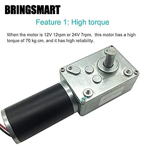 BRINGSMART 24V 5rpm DC Worm Gear Motor Self-Locking Mini Engine Turbine - size: 24V 5rpm