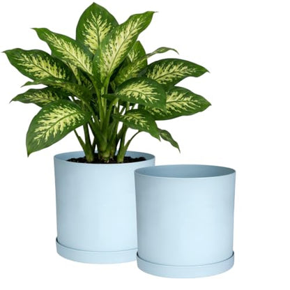 Bloem Mathers 12" Modern Plastic Planter with Saucer, Misty Blue, 2-Pack - color: Misty Blue, size: 12" (Pack of 2)