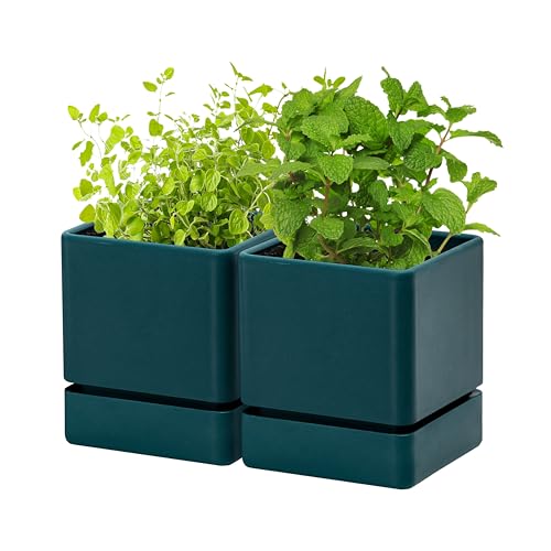 D'vine Dev 2-Pack Plastic Herb Planter Pots, 4 in, Green, 76-Y-C-1 - color: Green, size: 8 Inch x 4.5 Inch