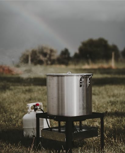 GasOne Seafood Boil Kit with Propane Burner, Propane Regulator, 100Qt Pot with Basket – Heavy Duty Construction Seafood Boil Pot for Outdoor Cooking – Easy to Clean and Durable Crab Boil Pot - size: 100 Quarts