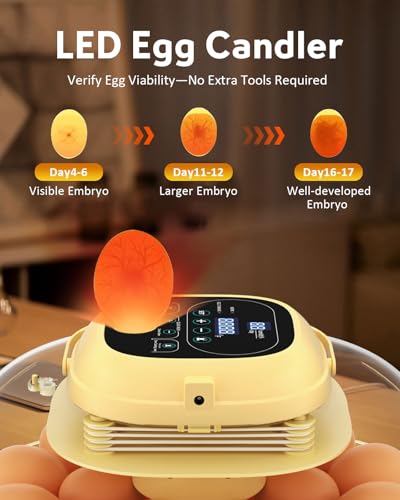 18 Egg Incubator for Hatching Eggs with Automatic Turning, Digital Temperature & Humidity Control, Built-in Egg Candler & Auto Water Refill, 360° Clear View for Chicken, Beige+Orange