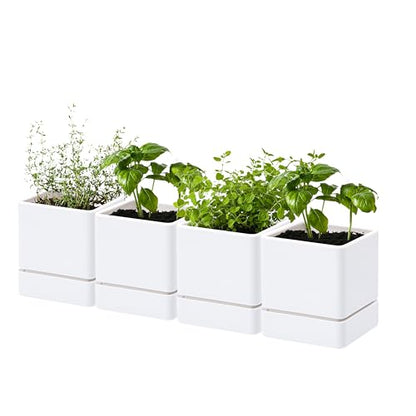D'vine Dev 4-Pack Plastic Herb Planter Pots, 4 in, White, 76-Y-A4-1 - color: White, size: 16 Inch x 4.5 Inch