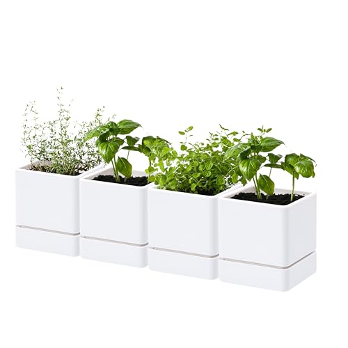 D'vine Dev 4-Pack Plastic Herb Planter Pots, 4 in, White, 76-Y-A4-1 - color: White, size: 16 Inch x 4.5 Inch
