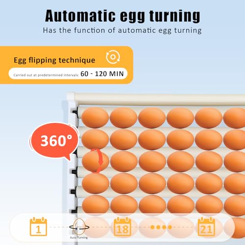 400-Egg Commercial Cabinet Incubator, Digital Poultry Hatcher
