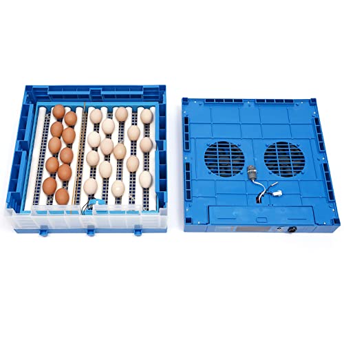 64 Hatching Eggs Incubator Digital Automatic Incubator, Temperature Humidity Control, 360° Automatic Egg Turner, Function Panel Display for Hatching Chicken Duck Goose Pigeon Quail