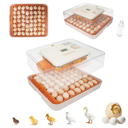 Series IV - 56 Egg Professional Incubator for Breeders, Automatic Sensor-Based Precise Humidity & Temp Control, Adjustable Egg Spacing, Auto Turn & Auto Stop, Preset Incubation Days, Chick Separator - size: 56-Egg Orange