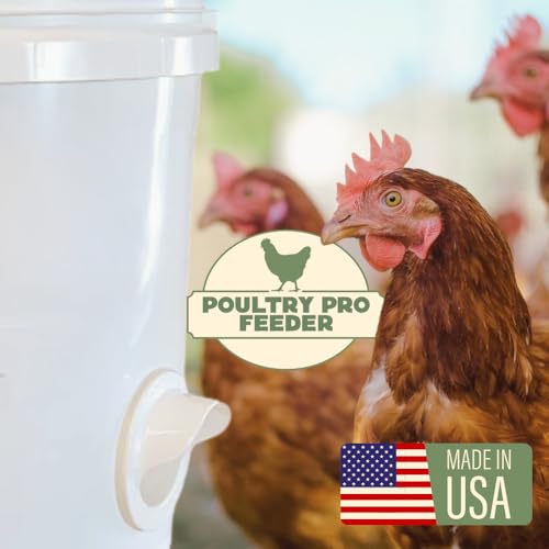 Poultry Pro DIY Chicken Feeder Kit, Poultry Feed, Weatherproof, 1 Port - style: Original Feeder 1 Pack