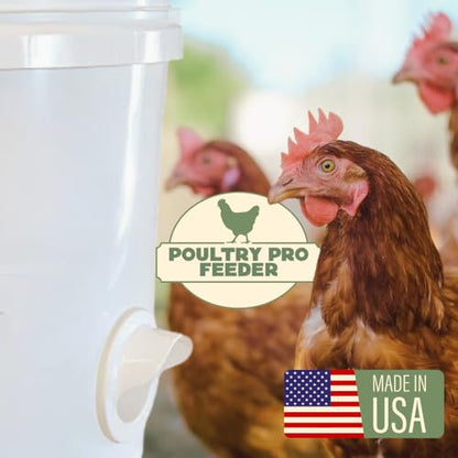 Poultry Pro DIY Chicken Feeder Kit, Poultry Feed, Weatherproof, 1 Port - style: Original Feeder 1 Pack