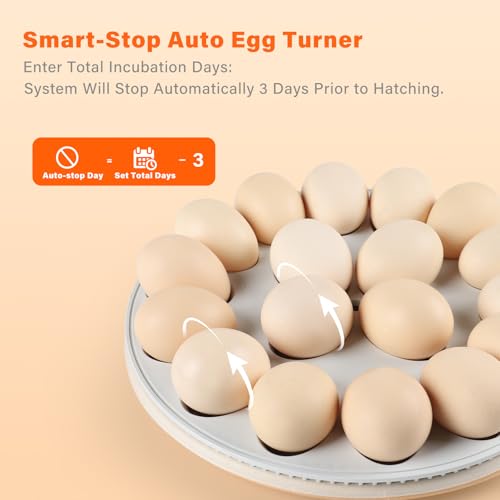 Egg Incubator for Hatching Eggs: Automatic Turner ±1°F Temperature