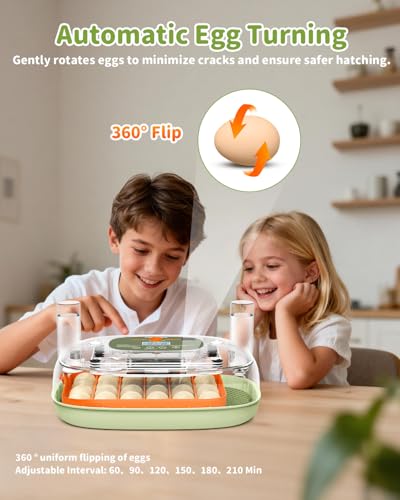 24 Egg Incubator with Automatic Turner Poultry Hatcher - color: Green