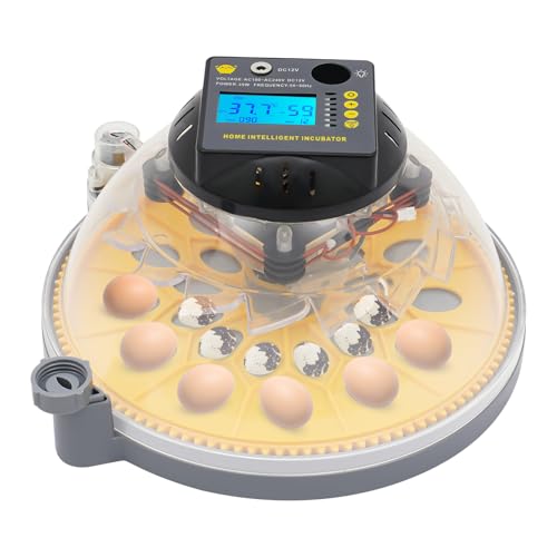 Chicken Egg Incubator 12 Eggs, Automatic Digital Hatcher, Poultry Hatching Machine, 5 Preset Modes, Auto Turner, Temperature & Humidity Control, for Chicken, Duck, Goose, Bird - size: 12 Eggs