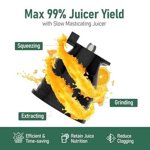 3-in-1 Cold Press Juicer, 6" Wide Chute Masticating Juicer - color: Black