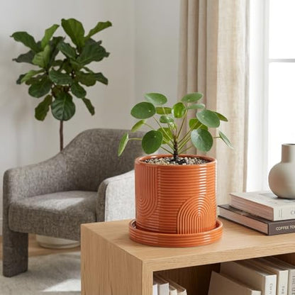 6 Inch Ceramic Plant Pot with Drainage Hole & Tray – Terracotta - color: Terracotta