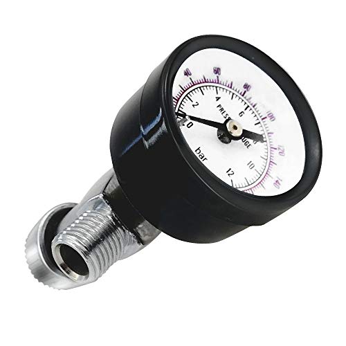 Beduan Flow Control Valve, 1/4" NPS Water Pressure Reducer Adjustable Control Valve with Gauge