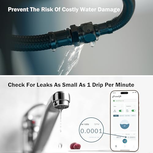 Frizzlife LP365 Smart Water Monitor and Automatic Shutoff - 0.01GPM Ultrasonic Micro Leak Detection, APP Wi-Fi Remote Control, Real-Time Flow/Temp Monitoring, NSF/ANSI 61 & 372 Certified, 1.25" and 1" - size: 1”＆1.25”