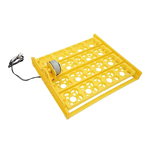 Automatic Egg Turner Tray - Multifunction Incubator Tray for 16 Duck Eggs, 72 Quail Eggs (AC110V) - size: AC110V