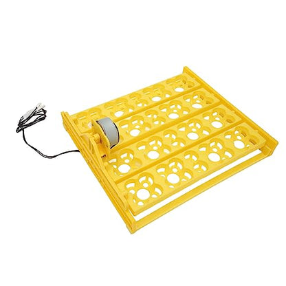 Automatic Egg Turner Tray - Multifunction Incubator Tray for 16 Duck Eggs, 72 Quail Eggs (AC110V) - size: AC110V