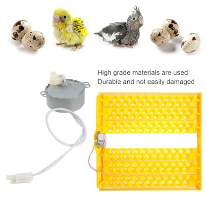 Egg Tray Turning Motor, Electric Synchron Motor Replacement Egg Turner Motor, Automatic Egg Turning Tray Tool Incubator Accessories for Incubating Chicken, Duck and Quail Egg