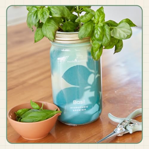 Modern Sprout Mason Jar Herb Garden Kit Indoor - color: Ultimate Herb Garden Set