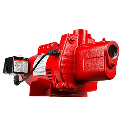 Red Lion RJS-75-PREM 115/230V, 3/4 HP, 16 GPM, Shallow Well Jet Pump - style: 3/4-HP, 16-GPM, Premium