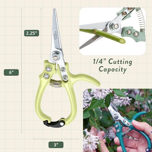 Modern Sprout Hydroponic Grow + Harvest Bundle - color: Cilantro Garden Jar + Chartreuse Shears