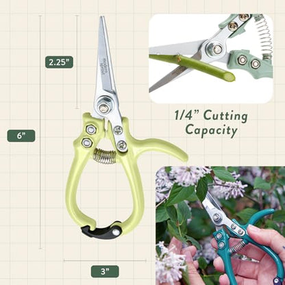 Modern Sprout Hydroponic Grow + Harvest Bundle - color: Cilantro Garden Jar + Chartreuse Shears