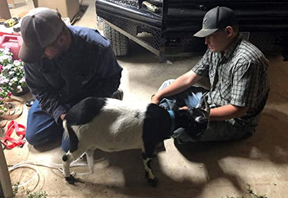 Milking Machine Accessory Goat Teat Cup, 6 Milk Hose and Bucket Lid Replacement Set