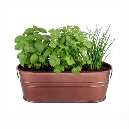 Buzzy Seeds Windowsill Herb Kit, Metal Planter, Basil Cilantro & Chives - color: Copper