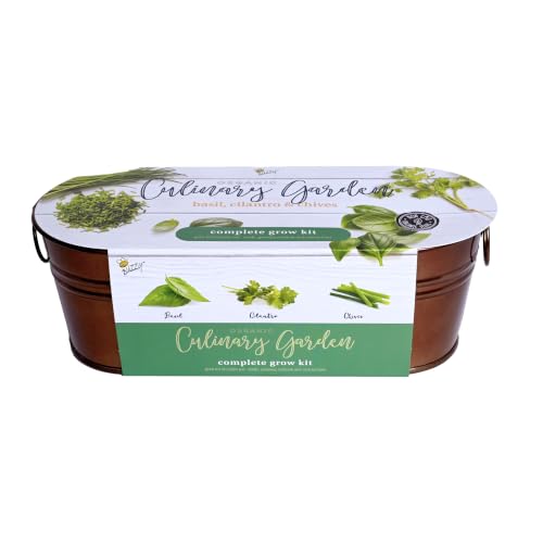 Buzzy Seeds Windowsill Herb Kit, Metal Planter, Basil Cilantro & Chives - color: Copper