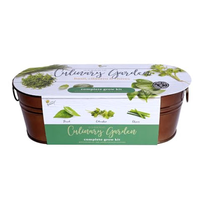 Buzzy Seeds Windowsill Herb Kit, Metal Planter, Basil Cilantro & Chives - color: Copper