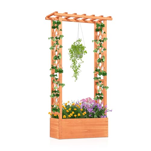 LDAILY Raised Garden Bed with Trellis, Above Ground Garden Bed with Hanging Roof, Side Trellis, & Drainage Holes, Planter Box for Outdoor Climbing Plants Vines Flowers (1, 31" L x 14" W x 60" H) - size: 31" L x 14" W x 60" H