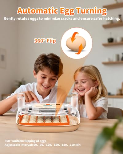 24 Egg Incubator with Automatic Turner Poultry Hatcher - color: Orange