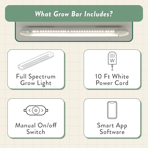 Modern Sprout Mason Jar Herb Garden Kit Indoor - color: Ultimate Herb Garden Set