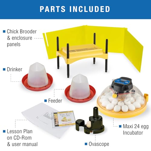 Brinsea Maxi 24 Advance Complete Classroom Egg Hatching Incubation Kit - size: Classroom Kit, 24 Eggs