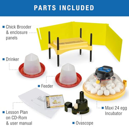 Brinsea Maxi 24 Advance Complete Classroom Egg Hatching Incubation Kit - size: Classroom Kit, 24 Eggs