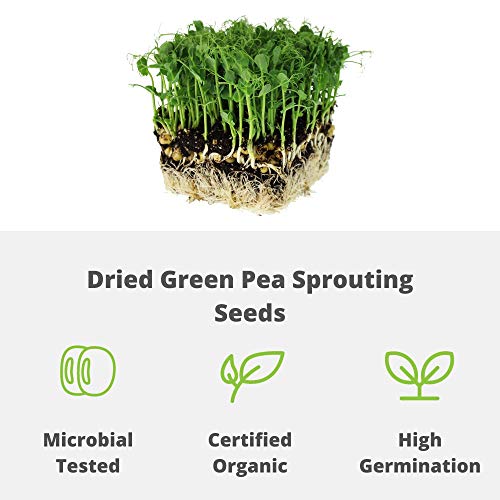 Handy Pantry Green Pea Sprouting Seed - 5 Lb Brand - Green Pea for Sprouts - size: 5 pounds