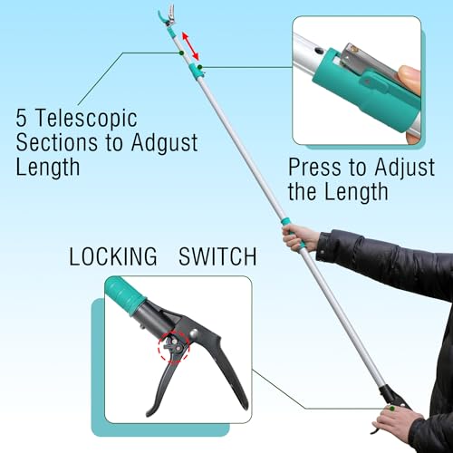 Altdorff Tree Pruner Extendable, Tree Trimmers Long Handle Pruner, Extra Length to 10ft, Telescopic Pole Pruner with Rotate Head, Smooth Clean Cut, Ideal For Removing High Branches and Fruit Picking